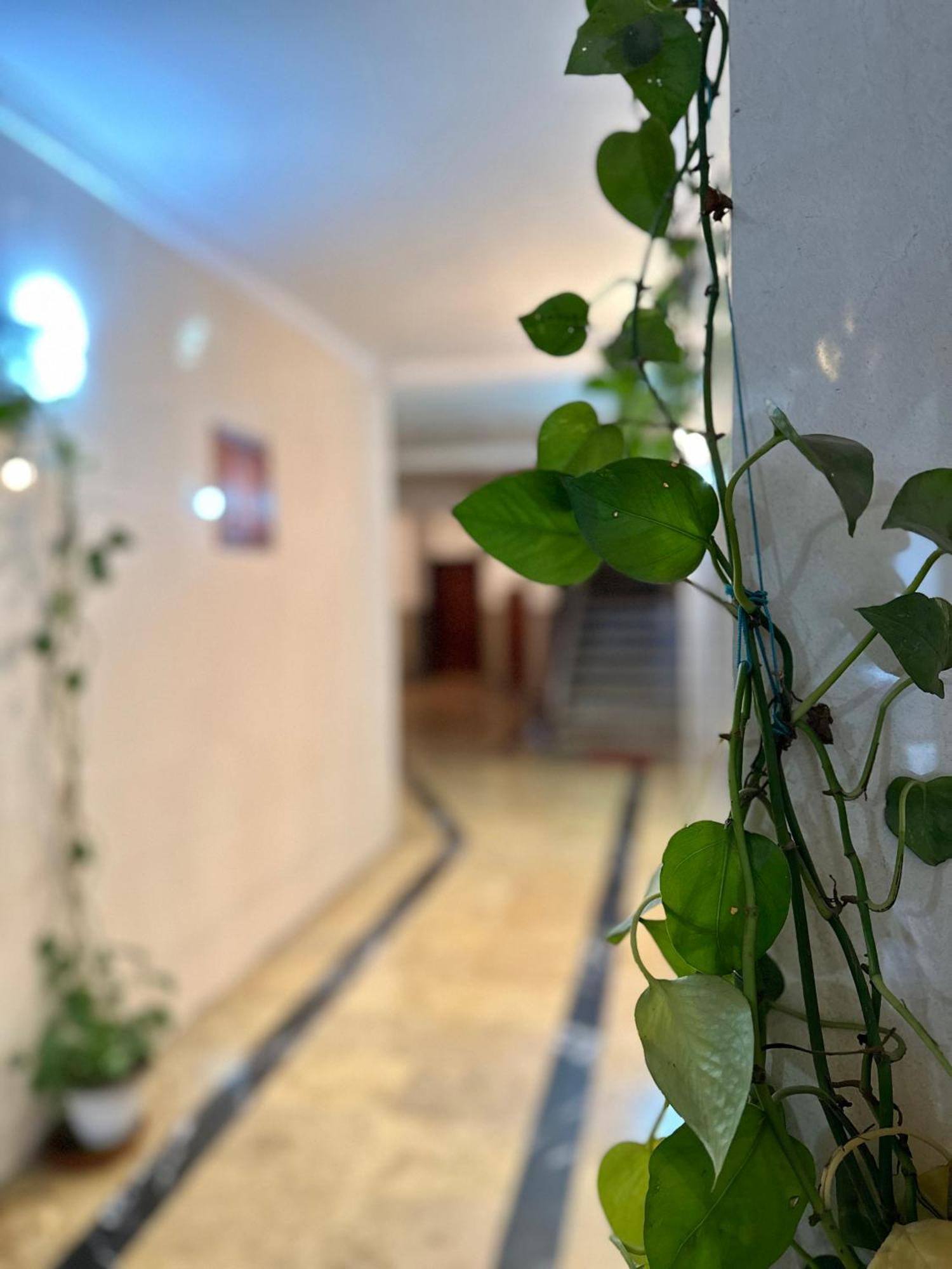 Casa Central Tétouan Екстериор снимка
